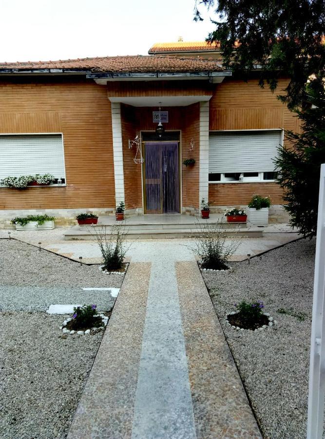 B&B Nonna Lilla Montesilvano Marina Dış mekan fotoğraf